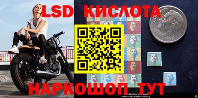 Альфа ПВП Кингисепп