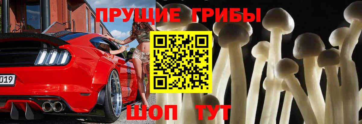 продажа наркотиков  Галлюциногенные грибы мицелий  Вход с VPN  Элиста 