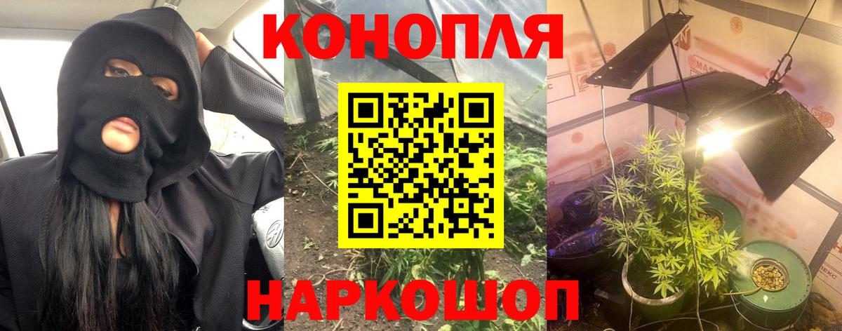 Канабис ГИДРОПОН  Шишки марихуана индика  Вход с VPN  Элиста 